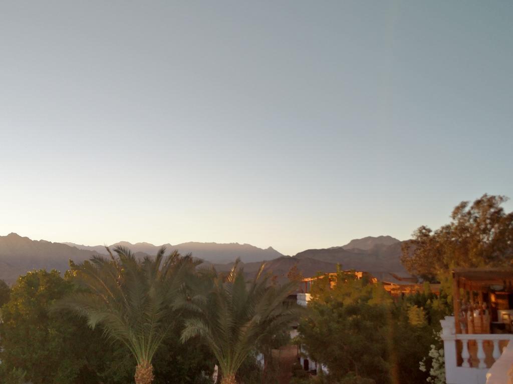 Seven Heaven Hotel Dahab Exterior photo