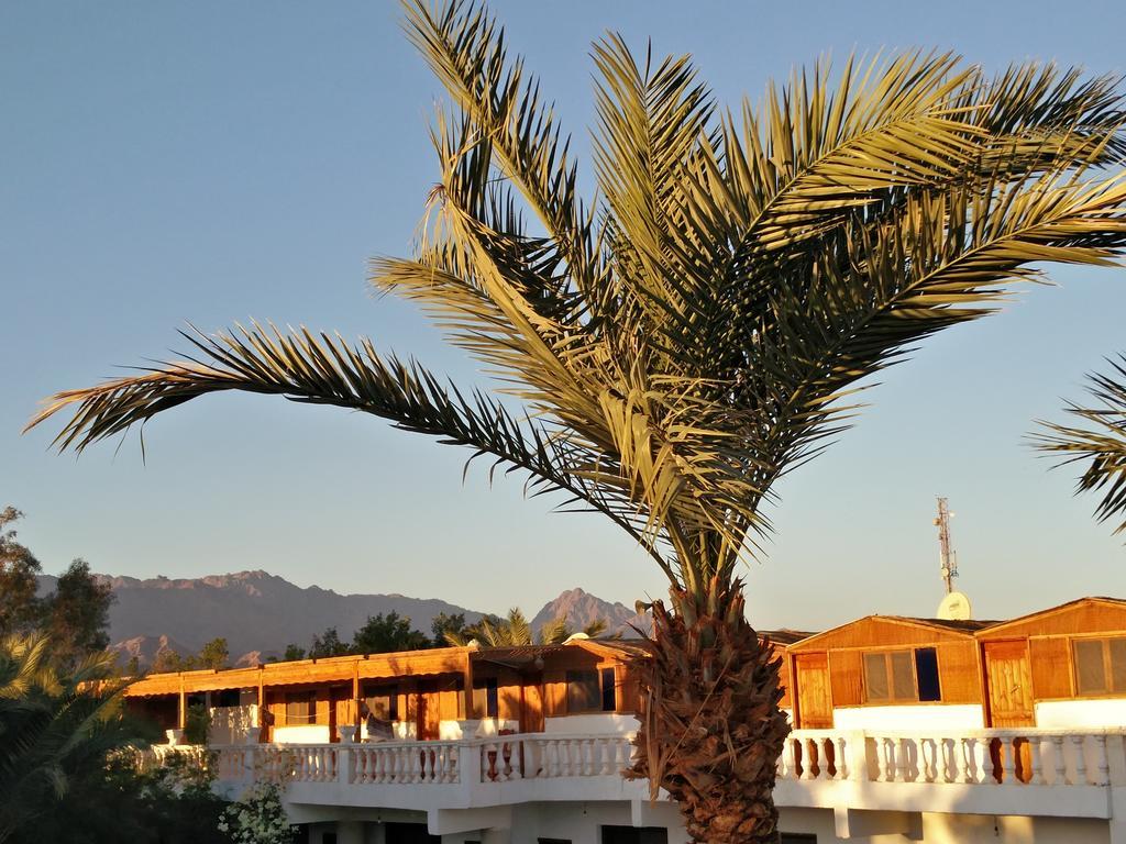 Seven Heaven Hotel Dahab Exterior photo